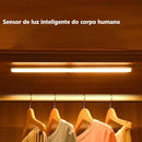 Luminária de Indução Sem Fio Led